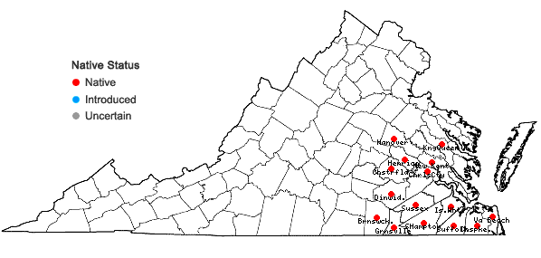 Locations ofHydrolea quadrivalvis Walt. in Virginia