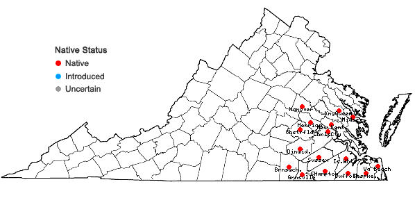 Locations ofHydrolea quadrivalvis Walt. in Virginia