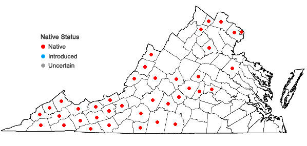 Locations ofHydrophyllum canadense L. in Virginia