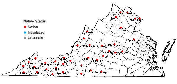 Locations ofHydrophyllum canadense L. in Virginia