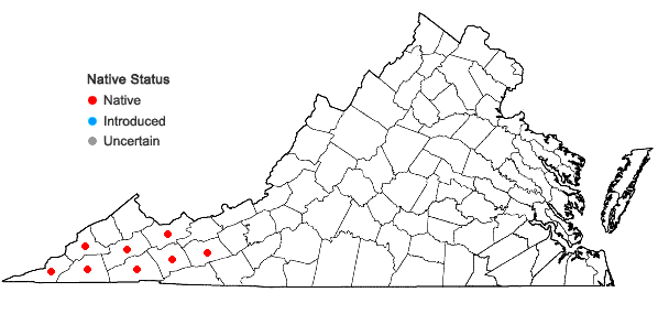 Locations ofHydrophyllum macrophyllum Nutt. in Virginia