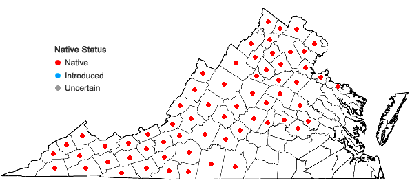 Locations ofHydrophyllum virginianum L. var. virginianum in Virginia
