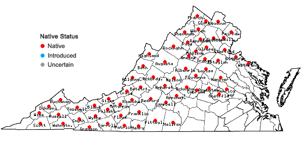 Locations ofHydrophyllum virginianum L. var. virginianum in Virginia