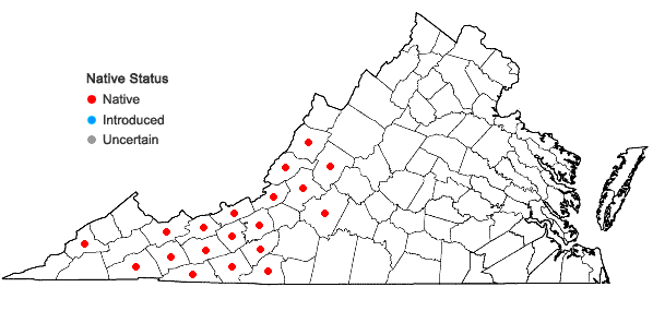 Locations ofHydrophyllum virginianum L. var. atranthum (E.J. Alexander) Constance in Virginia
