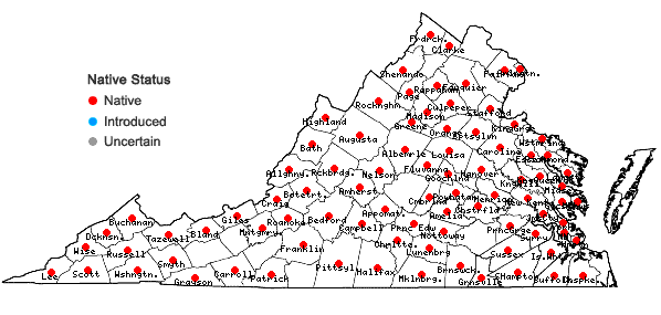 Locations ofHygroamblystegium varium (Hedw.) Mönkemeyer ssp. varium var. varium in Virginia