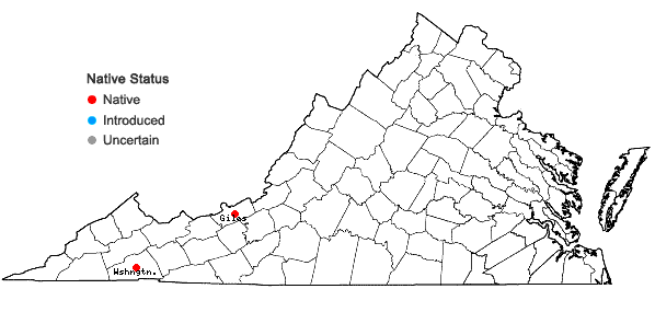 Locations ofHygroamblystegium varium (Hedw.) Mönkemeyer ssp. noterophilum (Sull. & Lesq.) Vanderporten & Hedenäs in Virginia