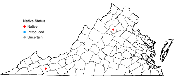 Locations ofHygrohypnum duriusculum (De Not.) D.W. Jamieson in Virginia