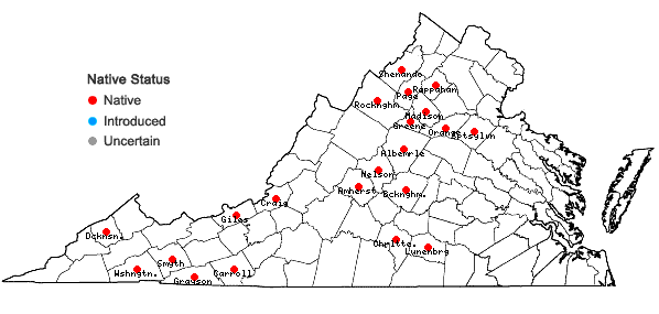 Locations ofHygrohypnum eugyrium (Schimp.) Loeske in Virginia