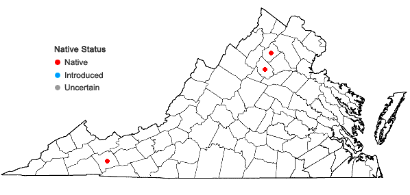 Locations ofHygrohypnum molle (Hedw.) Loeske in Virginia