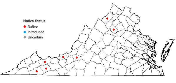 Locations ofHygrohypnum ochraceum (Turner ex Wilson) Loeske in Virginia