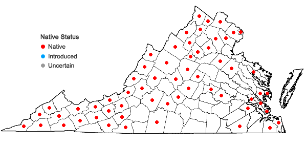 Locations ofHylodesmum glutinosum (Muhl. ex Willld.) H. Ohashi & R.R. Mill in Virginia