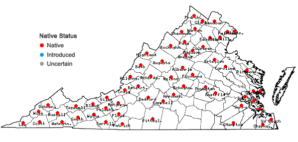 Locations ofHylodesmum glutinosum (Muhl. ex Willld.) H. Ohashi & R.R. Mill in Virginia