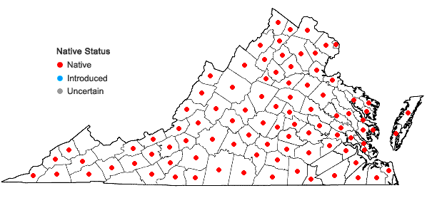 Locations ofHylodesmum nudiflorum (L.) H. Ohashi & R.R. Mill in Virginia