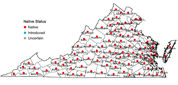 Locations ofHylodesmum nudiflorum (L.) H. Ohashi & R.R. Mill in Virginia