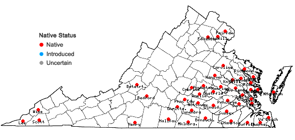 Locations ofHylodesmum pauciflorum (Nutt.) H. Ohashi & R.R. Mill in Virginia