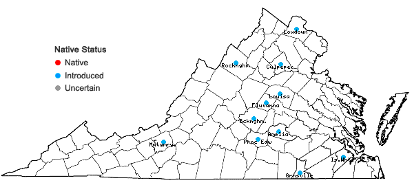 Locations ofHylotelephium erythrostictum (Miq.) H. Ohba in Virginia