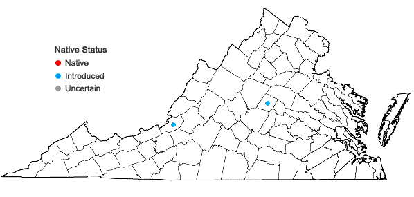 Locations ofHylotelephium spectabile (Boreau) H. Ohba in Virginia