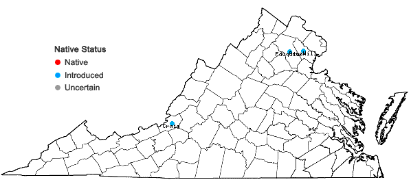 Locations ofHylotelephium telephium (L.) H. Ohba in Virginia