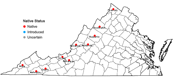 Locations ofHymenostylium recurvirostrum (Hedw.) Dixon var. recurvirostrum in Virginia