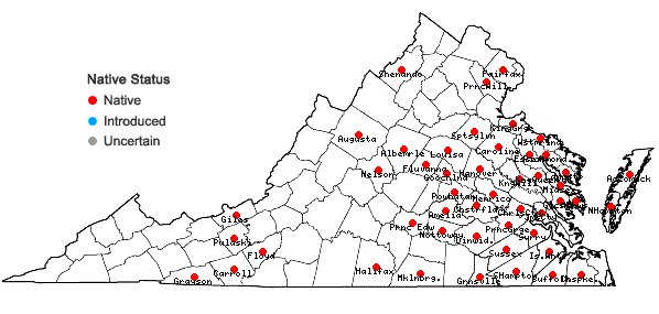 Locations ofHypericum canadense L. in Virginia