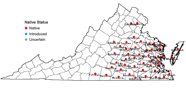 Locations ofHypericum crux-andreae (L.) Crantz in Virginia