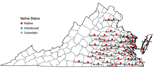 Locations ofHypericum crux-andreae (L.) Crantz in Virginia