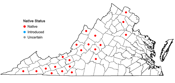 Locations ofHypericum densiflorum Pursh in Virginia