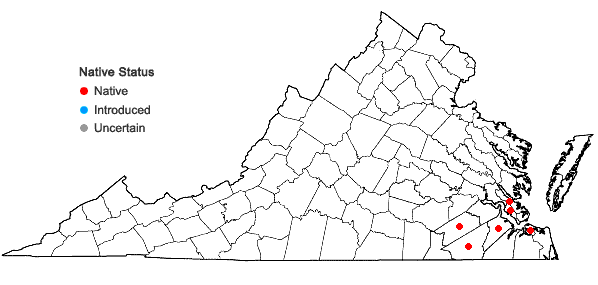 Locations ofHypericum denticulatum Walt. in Virginia