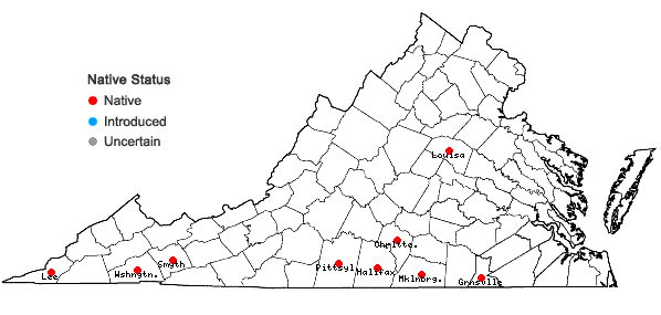 Locations ofHypericum drummondii (Grev. & Hooker) Torrey & A. Gray in Virginia