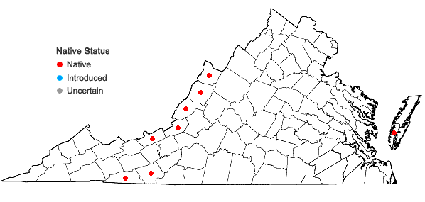 Locations ofHypericum fraseri Spach in Virginia