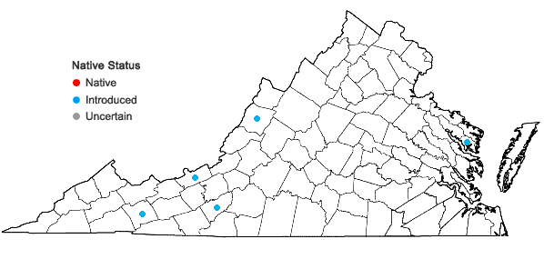 Locations ofHypericum frondosum Michx. in Virginia