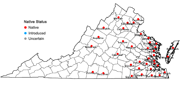 Locations ofHypericum gymnanthum Engelm. & A. Gray in Virginia