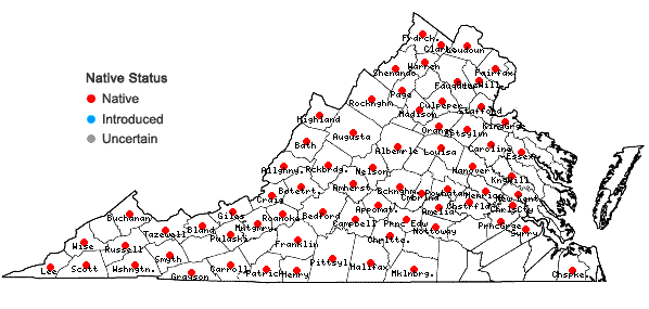 Locations ofHypericum prolificum L. in Virginia