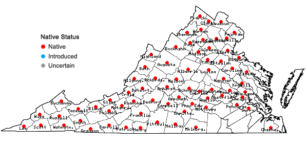 Locations ofHypericum prolificum L. in Virginia