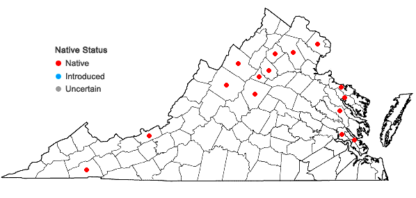 Locations ofHypnum cupressiforme Hedw. var. cupressiforme in Virginia