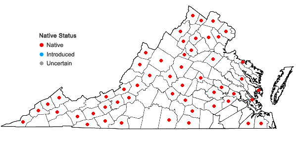 Locations ofHypnum curvifolium Hedwig in Virginia
