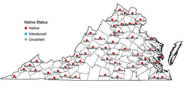 Locations ofHypnum curvifolium Hedwig in Virginia