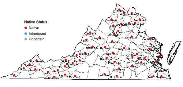 Locations ofHypnum curvifolium Hedwig in Virginia