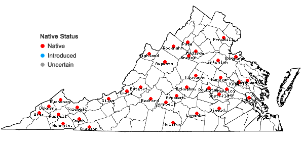 Locations ofHypnum fauriei Cardot in Virginia