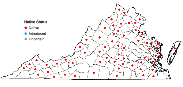 Locations ofHypnum imponens Hedwig in Virginia
