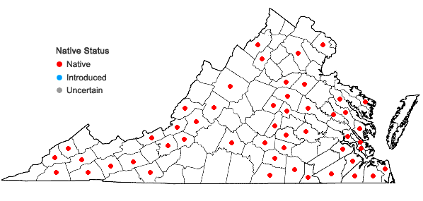 Locations ofHypnum lindbergii Mitt. in Virginia