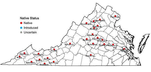 Locations ofHypnum pallescens (Hedw.) P. Beauv. in Virginia