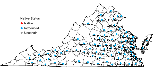 Locations ofHypochaeris radicata L. in Virginia