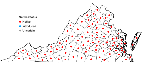 Locations ofHypopitys monotropa Crantz in Virginia