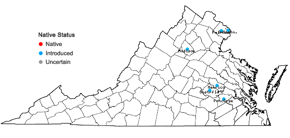 Locations ofIlex cornuta Lindley in Virginia