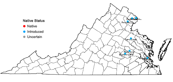 Locations ofIlex crenata Thunberg in Virginia