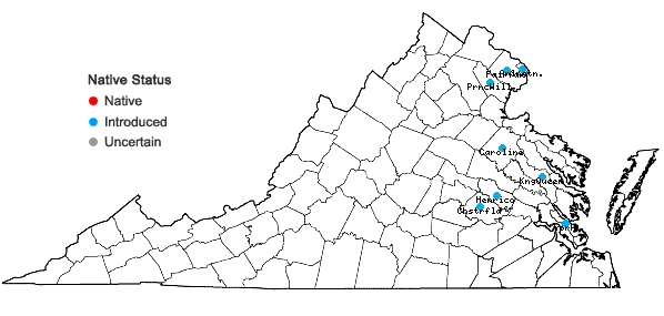 Locations ofIlex crenata Thunberg in Virginia