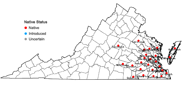 Locations ofIlex glabra (L.) Gray in Virginia