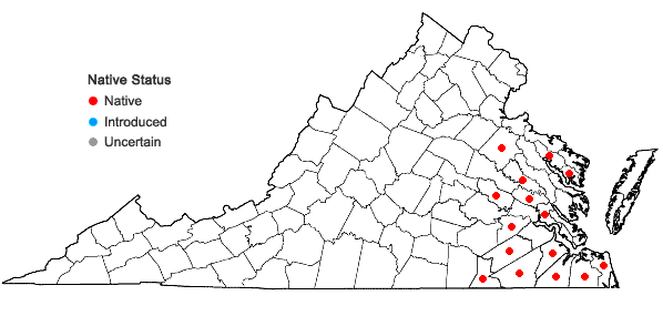 Locations ofIlex laevigata (Pursh) Gray in Virginia