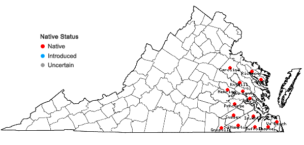 Locations ofIlex laevigata (Pursh) Gray in Virginia